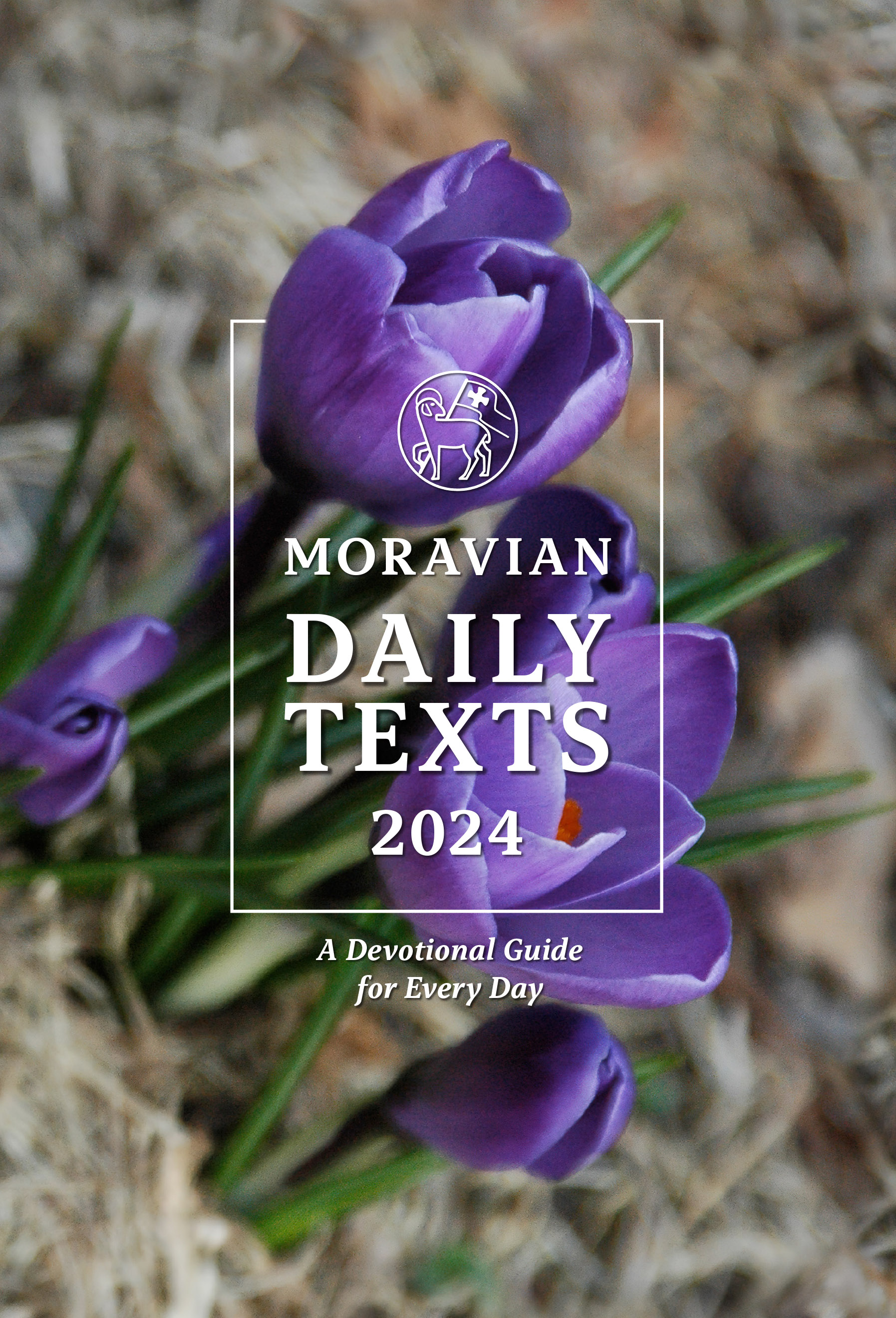 2024 Moravian Daily Texts Hardcover Edition Moravian Church in